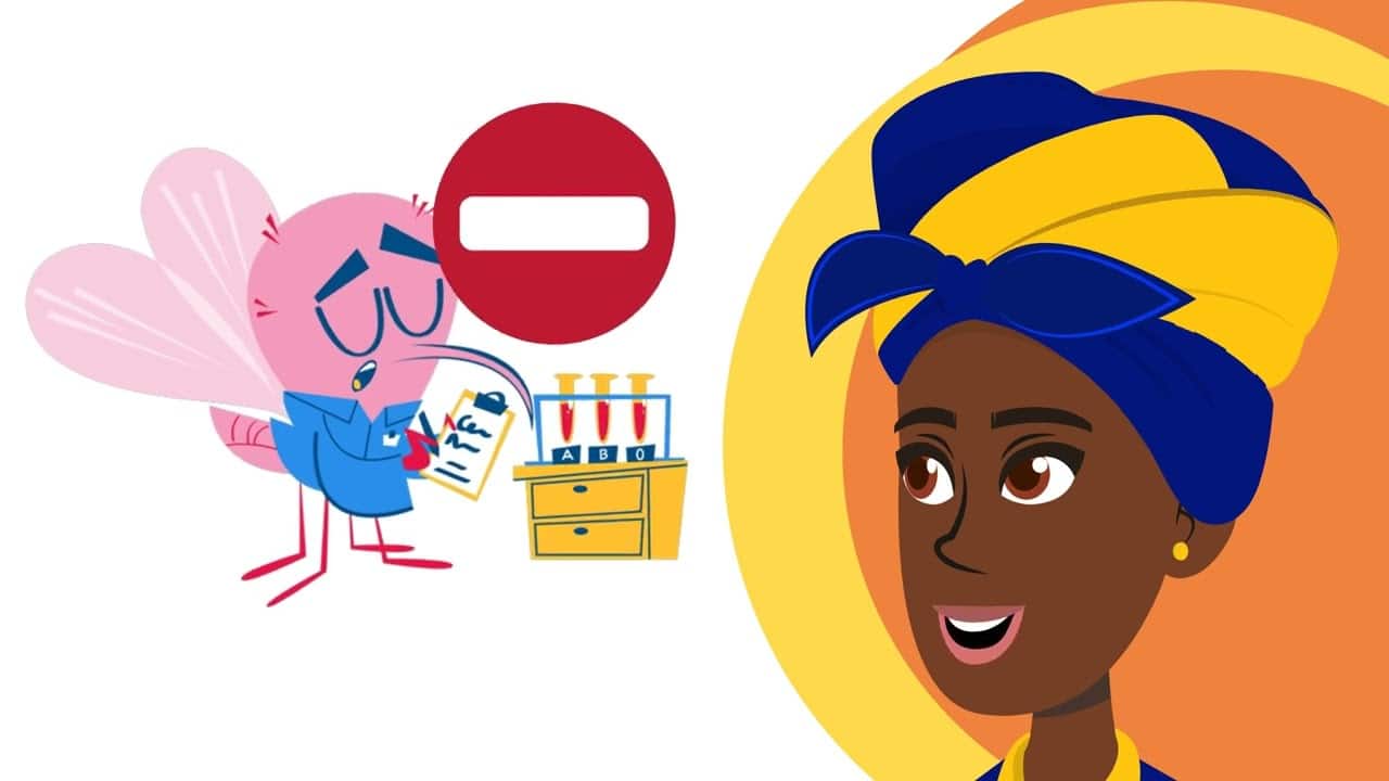 Who decides to release modified mosquitoes?