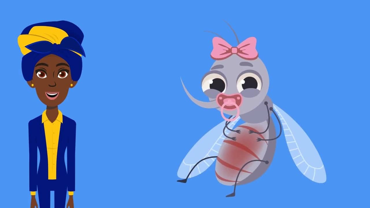 Will modified mosquitoes cause other health problems?